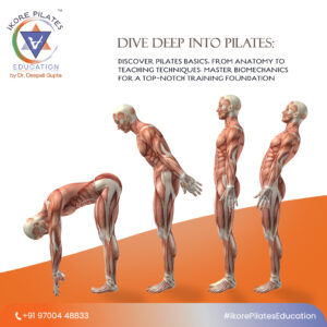 pilates basics